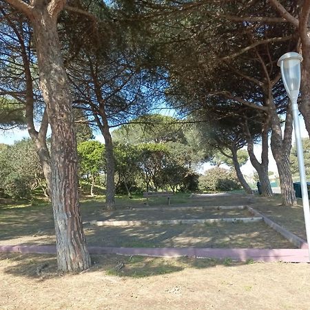 Lara 3 - T2 Loggia Piscine 2 Lits Doubles Parking Pres Du Centre-Port Et Ile Loisirs Apartamento Agde Exterior foto